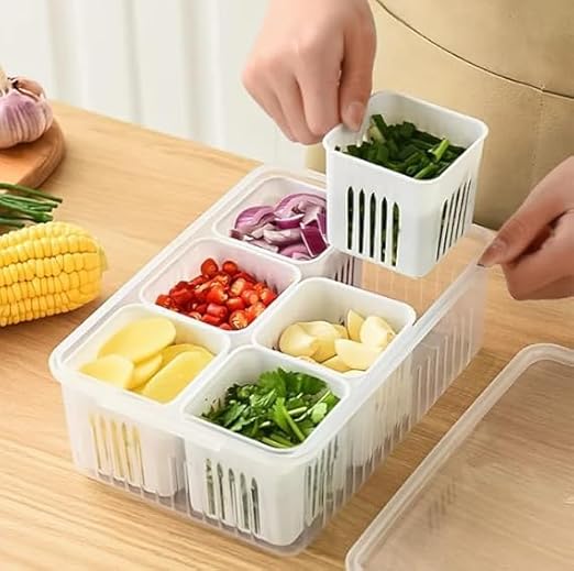 THE SR BRAND Plastic Fridge Storage Boxes Freezer Storage Containers, Container For Kitchen Storage Set, Storage In Kitchen, Vegetable Storage,Refrigerator Food Box(6 Grid Box(Pack Of 1)),Multicolor