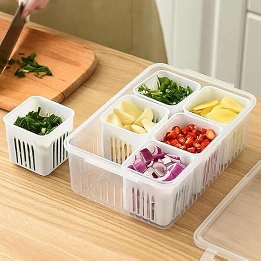 THE SR BRAND Plastic Fridge Storage Boxes Freezer Storage Containers, Container For Kitchen Storage Set, Storage In Kitchen, Vegetable Storage,Refrigerator Food Box(6 Grid Box(Pack Of 1)),Multicolor